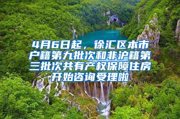 4月6日起，徐汇区本市户籍第九批次和非沪籍第三批次共有产权保障住房开始咨询受理啦