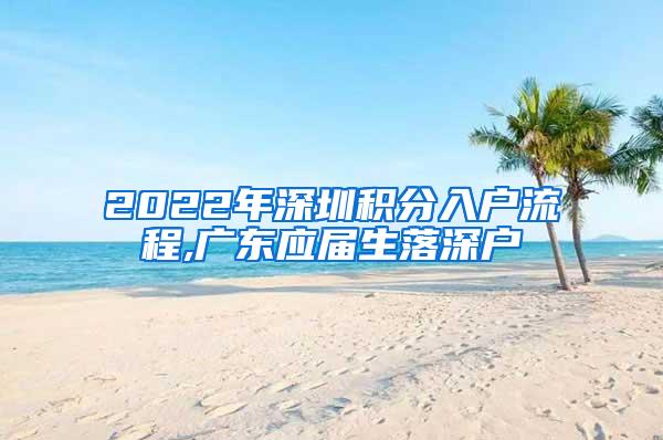 2022年深圳积分入户流程,广东应届生落深户