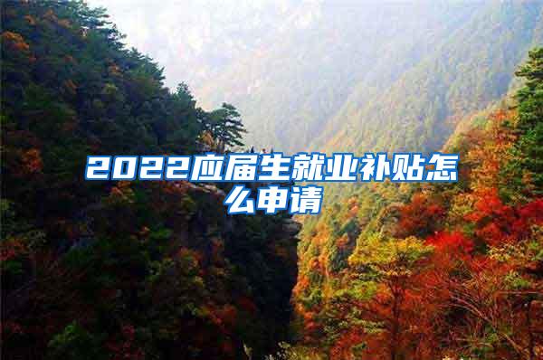 2022应届生就业补贴怎么申请