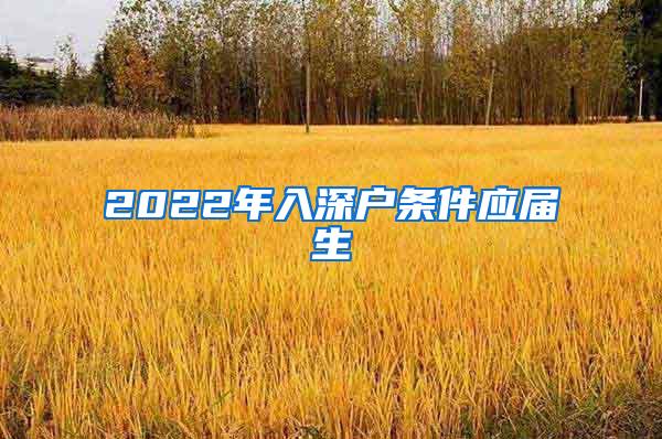 2022年入深户条件应届生