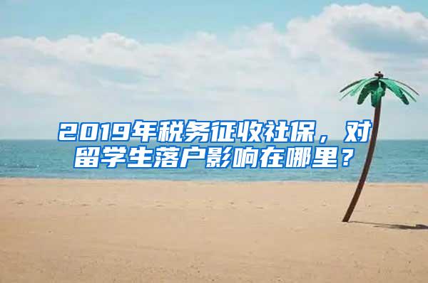 2019年税务征收社保，对留学生落户影响在哪里？