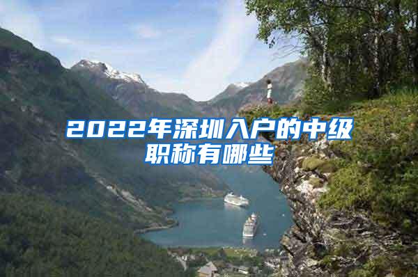 2022年深圳入户的中级职称有哪些