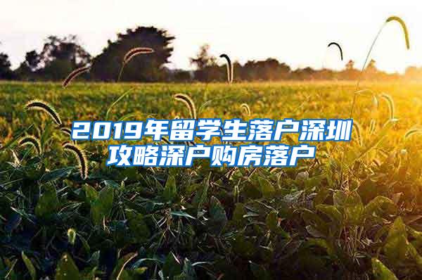 2019年留学生落户深圳攻略深户购房落户