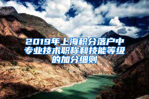 2019年上海积分落户中专业技术职称和技能等级的加分细则