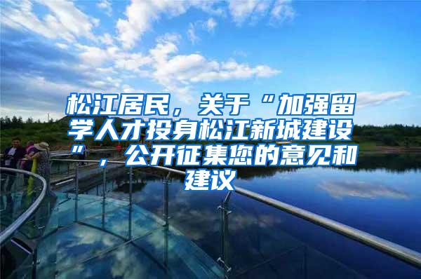 松江居民，关于“加强留学人才投身松江新城建设”，公开征集您的意见和建议→