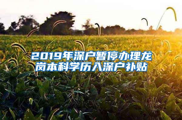 2019年深户暂停办理龙岗本科学历入深户补贴