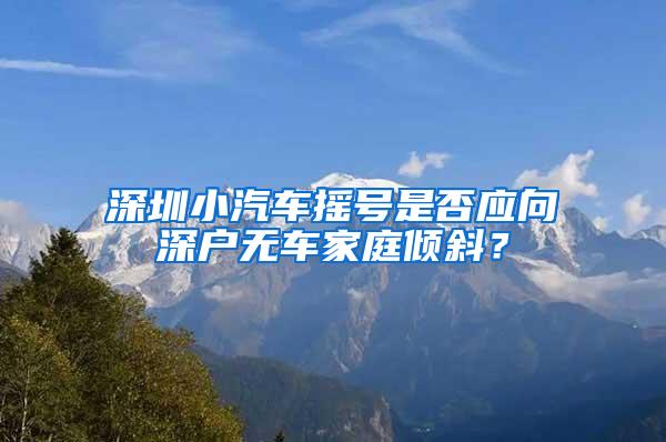 深圳小汽车摇号是否应向深户无车家庭倾斜？