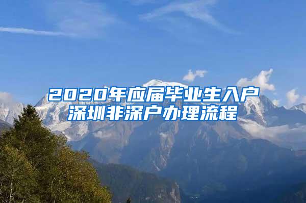 2020年应届毕业生入户深圳非深户办理流程