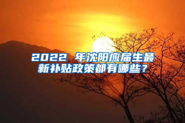 2022 年沈阳应届生最新补贴政策都有哪些？