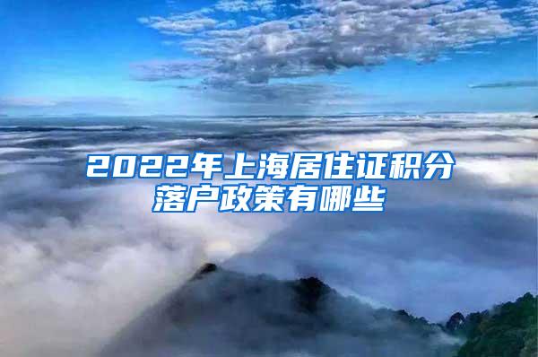 2022年上海居住证积分落户政策有哪些