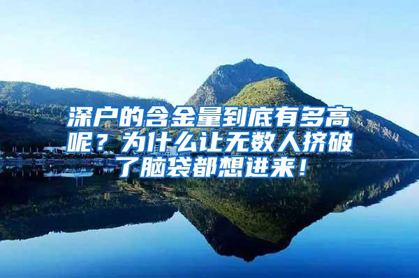 深户的含金量到底有多高呢？为什么让无数人挤破了脑袋都想进来！