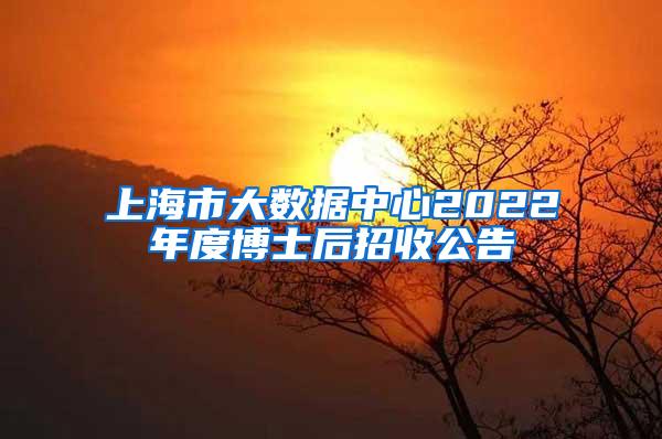 上海市大数据中心2022年度博士后招收公告