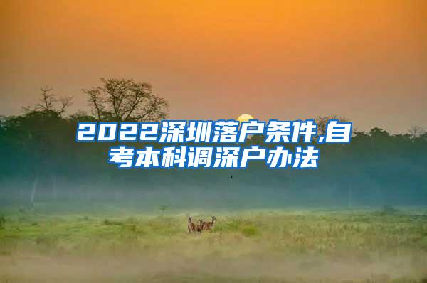 2022深圳落户条件,自考本科调深户办法