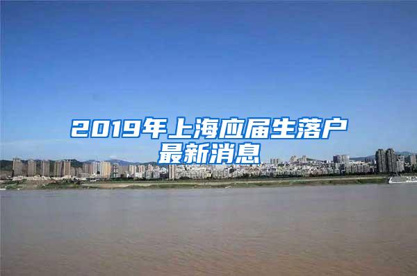 2019年上海应届生落户最新消息