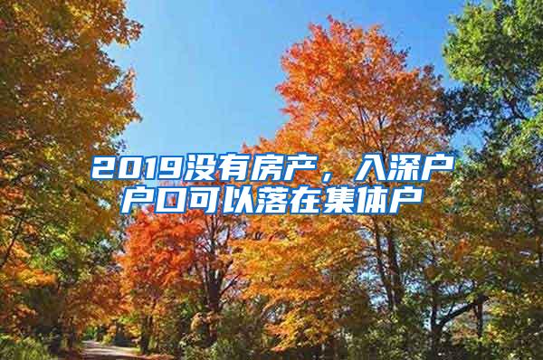 2019没有房产，入深户户口可以落在集体户