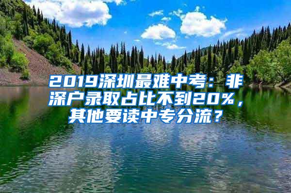 2019深圳最难中考：非深户录取占比不到20%，其他要读中专分流？