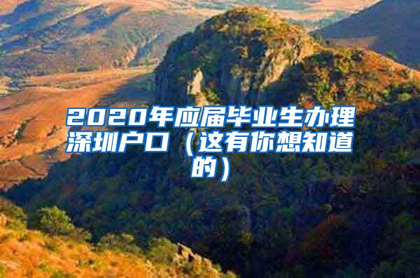 2020年应届毕业生办理深圳户口（这有你想知道的）