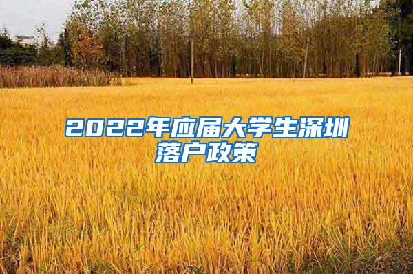 2022年应届大学生深圳落户政策