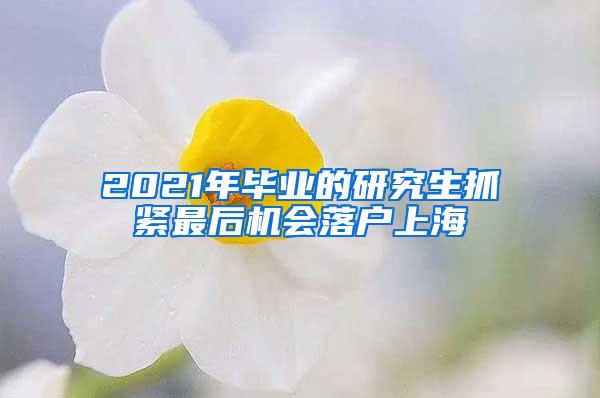 2021年毕业的研究生抓紧最后机会落户上海