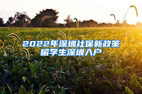 2022年深圳社保新政策留学生深圳入户