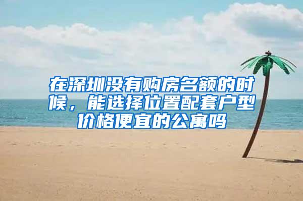 在深圳没有购房名额的时候，能选择位置配套户型价格便宜的公寓吗