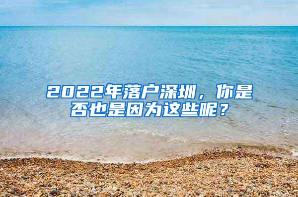 2022年落户深圳，你是否也是因为这些呢？