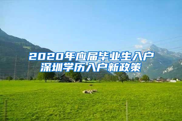 2020年应届毕业生入户深圳学历入户新政策