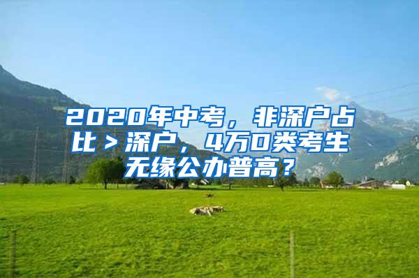 2020年中考，非深户占比＞深户，4万D类考生无缘公办普高？