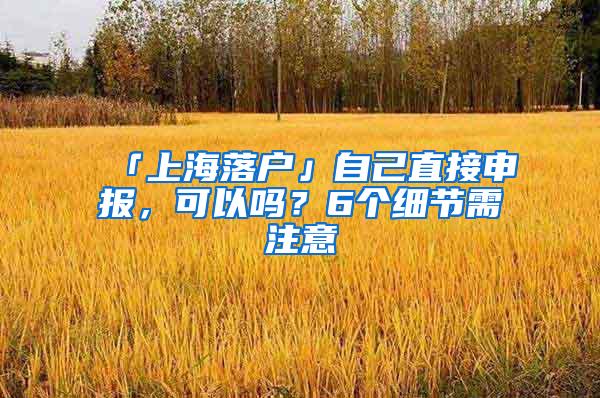 「上海落户」自己直接申报，可以吗？6个细节需注意