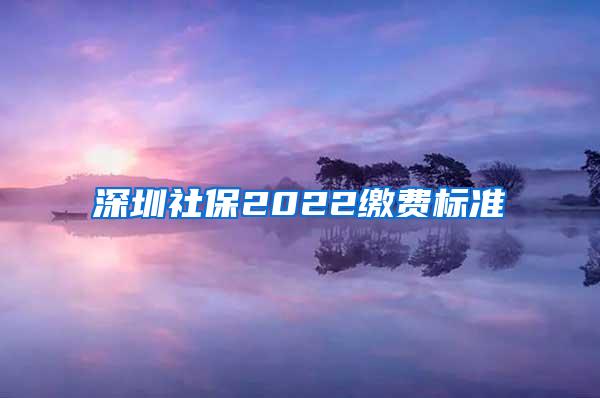 深圳社保2022缴费标准