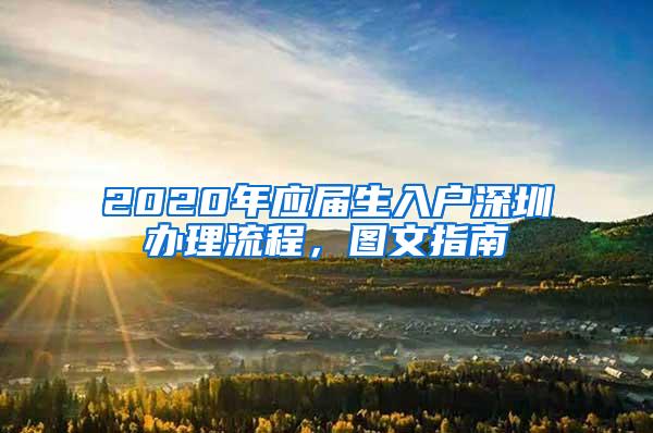 2020年应届生入户深圳办理流程，图文指南