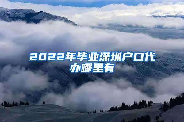 2022年毕业深圳户口代办哪里有