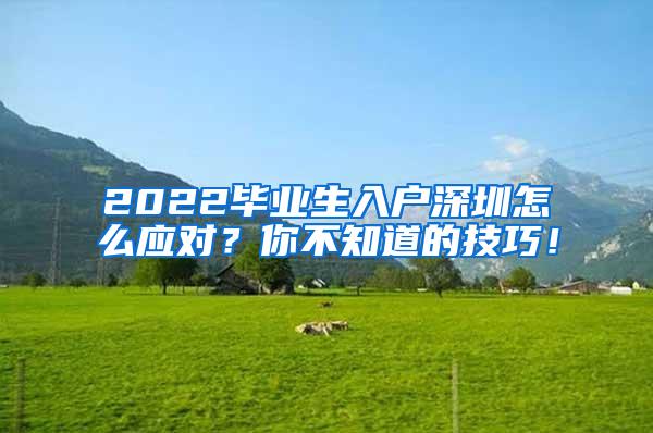 2022毕业生入户深圳怎么应对？你不知道的技巧！