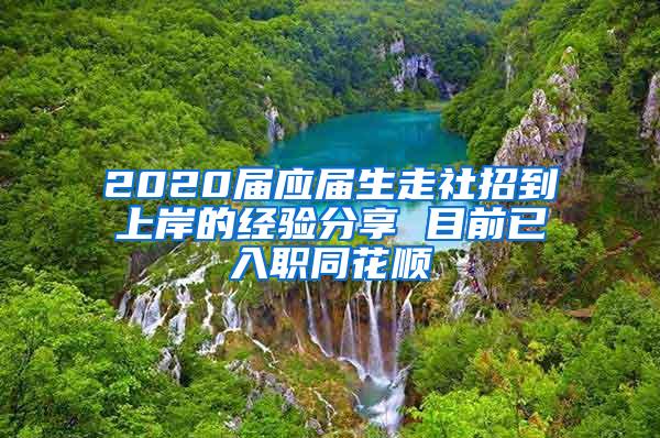 2020届应届生走社招到上岸的经验分享 目前已入职同花顺