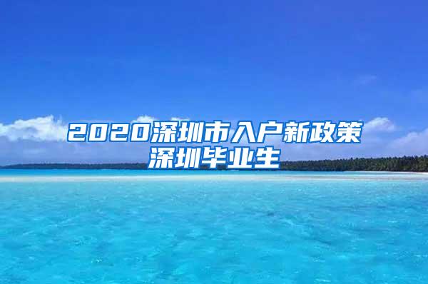 2020深圳市入户新政策深圳毕业生