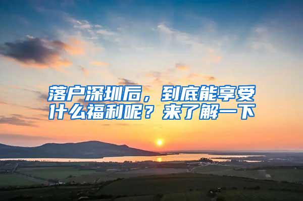 落户深圳后，到底能享受什么福利呢？来了解一下