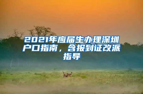 2021年应届生办理深圳户口指南，含报到证改派指导