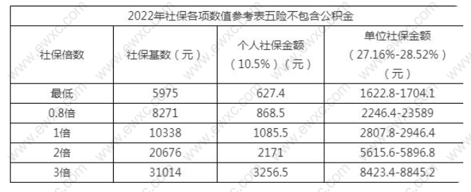 上海不用基数需要缴多少钱