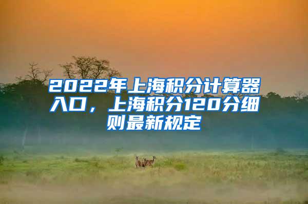 2022年上海积分计算器入口，上海积分120分细则最新规定