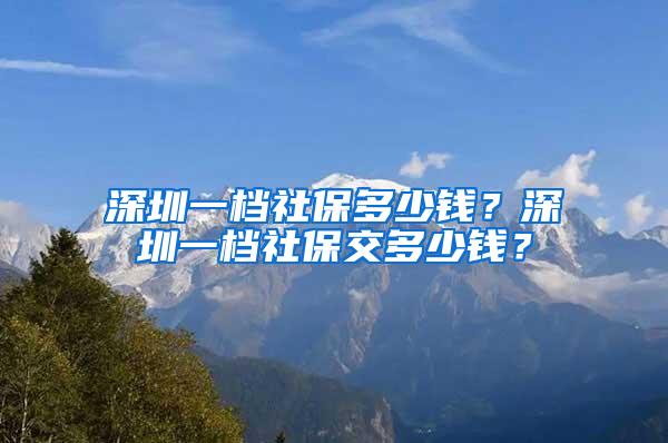 深圳一档社保多少钱？深圳一档社保交多少钱？