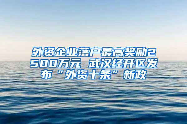 外资企业落户最高奖励2500万元 武汉经开区发布“外资十条”新政