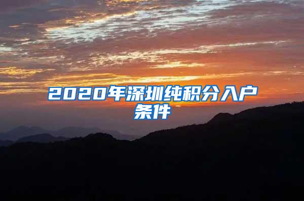 2020年深圳纯积分入户条件