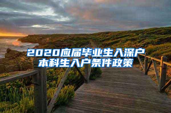 2020应届毕业生入深户本科生入户条件政策