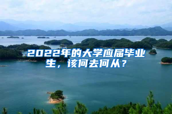 2022年的大学应届毕业生，该何去何从？