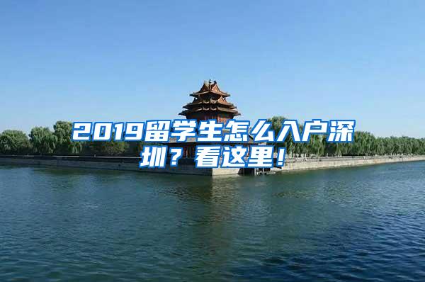 2019留学生怎么入户深圳？看这里！