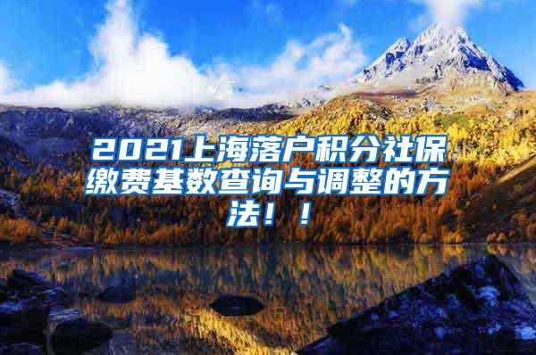 2021上海落户积分社保缴费基数查询与调整的方法！！