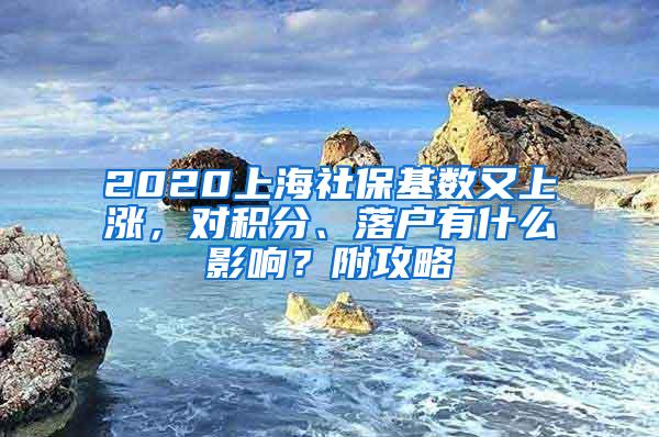 2020上海社保基数又上涨，对积分、落户有什么影响？附攻略