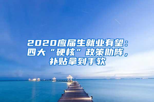 2020应届生就业有望：四大“硬核”政策助阵，补贴拿到手软