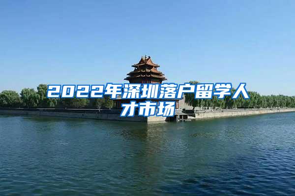 2022年深圳落户留学人才市场