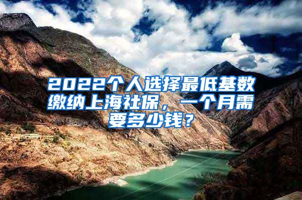 2022个人选择最低基数缴纳上海社保，一个月需要多少钱？